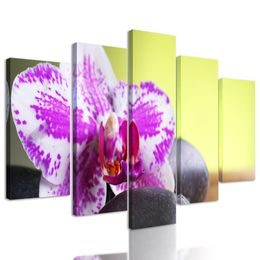 5-dielny obraz zaujímavo sfarbená orchidea a Zen kamene
