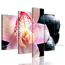 5-dielny obraz ružový kvet orchidei