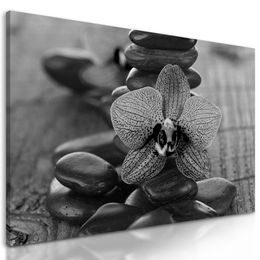 Obraz liečivé zen kamene v čiernobielom prevedení