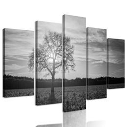 5-dielny obraz slnko zapadajúce za les v čiernobielom prevedení