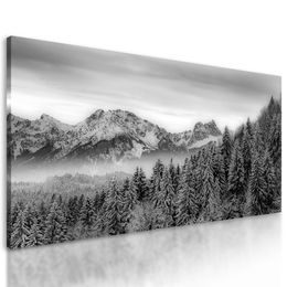Obraz zamrznutý les v čiernobielom prevedení