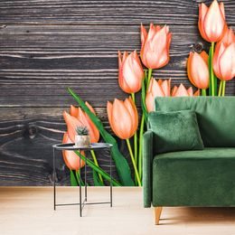 Fototapeta oranžové tulipány v elegantnom prevedení