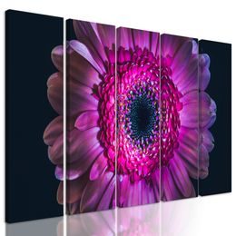 5-dielny obraz detail gerbery