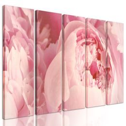 5-dielny obraz detail na ružové kvety