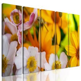 5-dielny obraz nádherné kvety v letných farbách