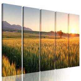 5-dielny obraz nekonečné pšeničné polia