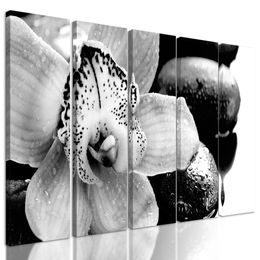 5-dielny obraz čiernobiely kvet orchidei