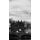 Originálna fototapeta londýnsky Big Ben v čiernobielom prevedení