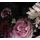 Samolepiaca fototapeta rôznorodosť kvetov s vintage nádychom