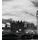 Originálna fototapeta londýnsky Big Ben v čiernobielom prevedení