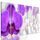 5-dielny obraz orchidea na elegantom pozadí