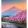 Fototapeta sakury pod japonskou Fuji
