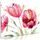 Obraz maľované tulipány