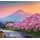Fototapeta sakury pod japonskou Fuji