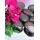 Fototapeta lávové kamene s orchideou
