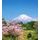 Fototapeta Fuji v objatí japonskej prírody