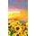 Samolepiaca tapeta pole plné slnečníc