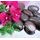 Fototapeta lávové kamene s orchideou