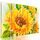 5-dielny obraz rozkvitnutá slnečnica
