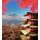 Fototapeta jesenný pohľad na Fuji v Japonsku