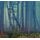 Samolepiaca fototapeta mysteriózny les