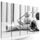 5-dielny obraz zátišie s prvkami Feng Shui v čiernobielom prevedení