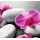 Fototapeta wellness zátišie s orchideou