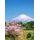 Fototapeta Fuji v objatí japonskej prírody