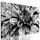 5-dielny obraz ohromná dália v čiernobielom prevedení