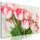 Obraz rozkvitnuté tulipány