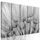 5-dielny obraz presný detail púpavy v čiernobielom prevedení