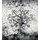 Samolepiaca tapeta zaujímavý strom života v čiernobielom prevedení