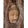 Fototapeta Budha v koreňoch figovníka
