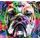 Tapeta buldog v pop art prevedení