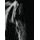Originálna čiernobiela fototapeta vznešený kôň