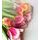 Fototapeta kytica jarných tulipánov