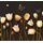 Tapeta tulipány ladené do zlatista