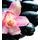 Fototapeta detail tropickej orchidey