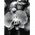 Fototapeta orchidea na zen kameňoch v čiernobielom prevedení