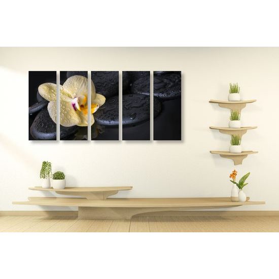 5-dielny obraz lávové kamene a zaujímavá orchidea