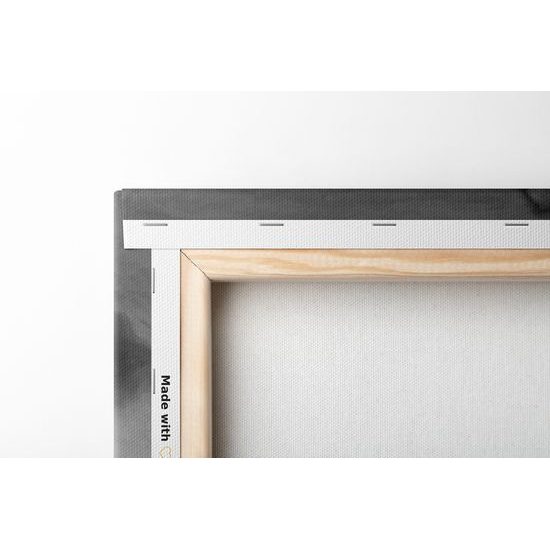 Obraz zasnežená krajina v snežítku v čiernobielom prevedení