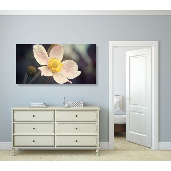 Obraz detail krásneho kvetu