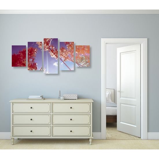 5-dielny obraz steblá trávy v lúčoch slnka