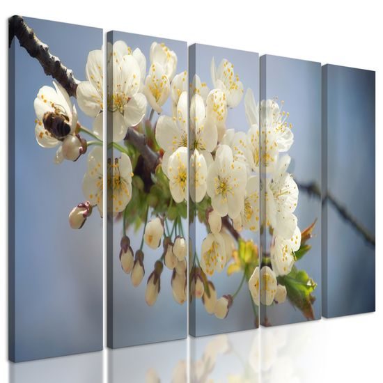 5-dielny obraz krásna čerešňa v rozkvete