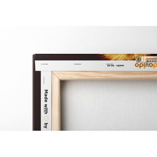 Obraz umelecká abstrakcia Leva