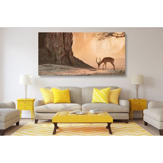 Obraz nádherná antilopa v africkej savane