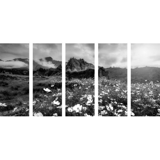 5-dielny obraz rozkvitnutá lúka v čiernobielom prevedení