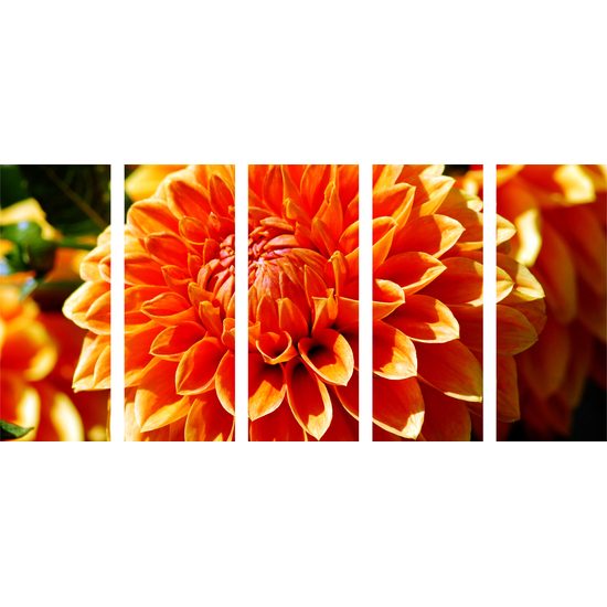 5-dielny obraz dychberúca dália