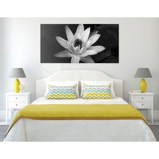 Obraz nádherný ružový lotosový kvet v čiernobielom prevedení