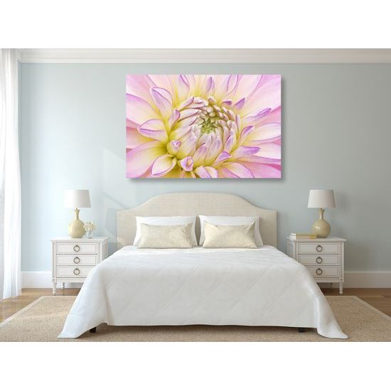 Obraz perfektný detail na kvet dálie